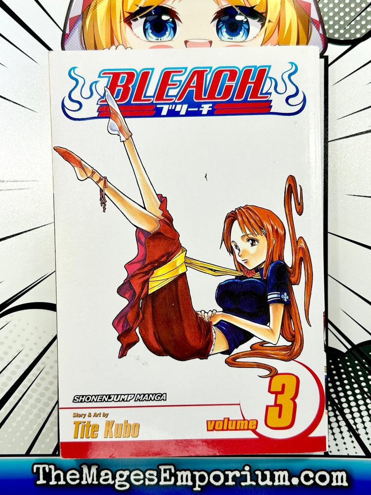 Bleach Vol 3