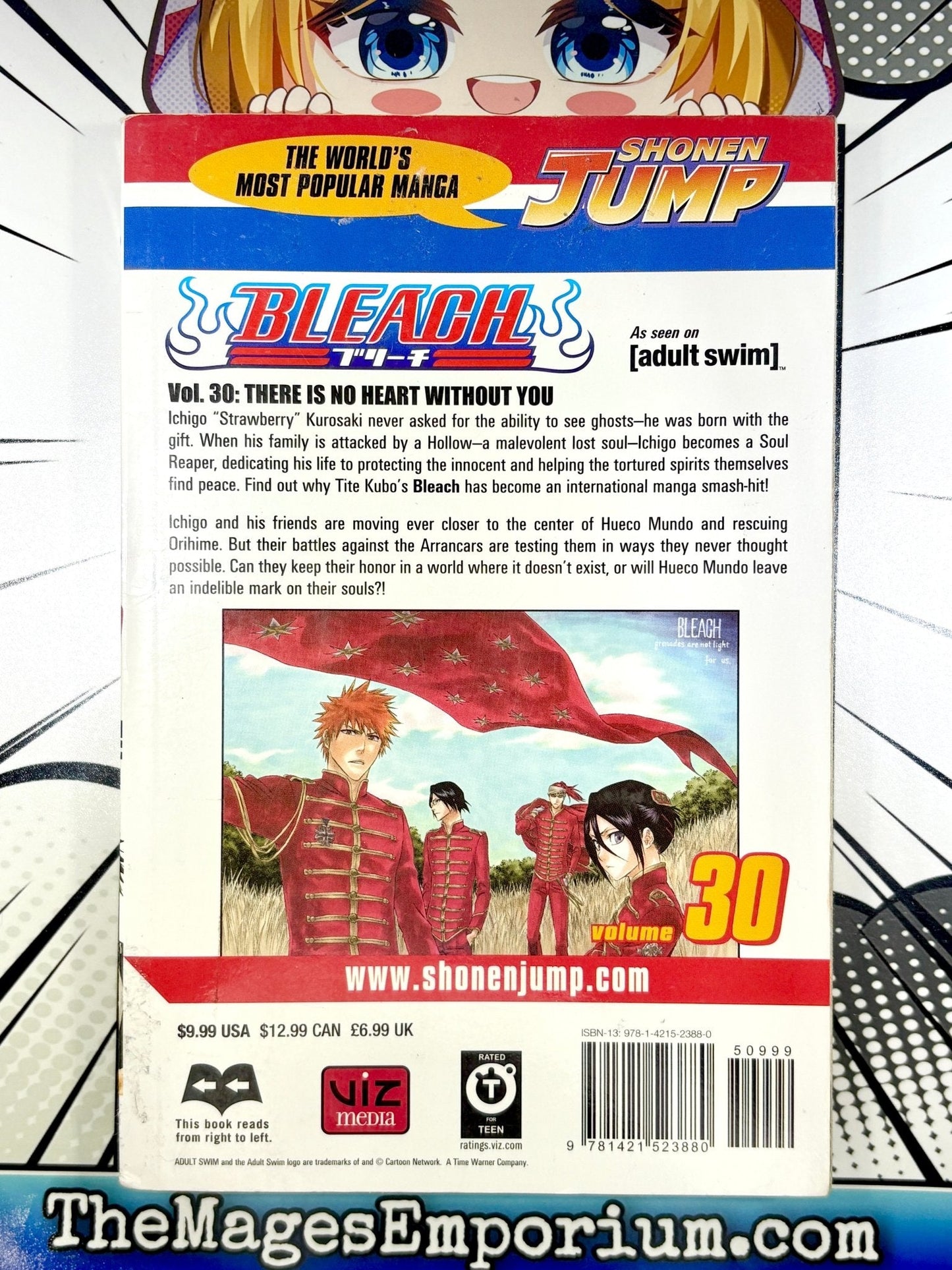 Bleach Vol 30 Ex Library