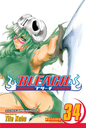 Bleach Vol 34