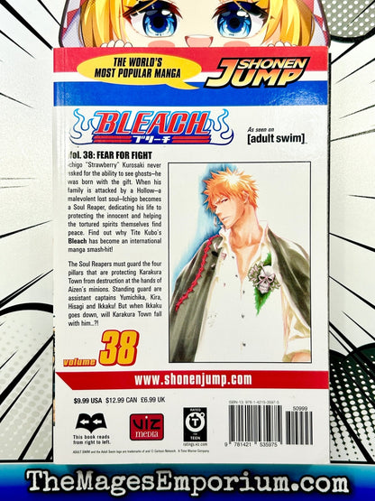 Bleach Vol 38