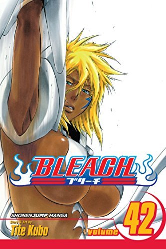 Bleach Vol 42