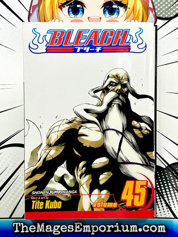 Bleach Vol 45