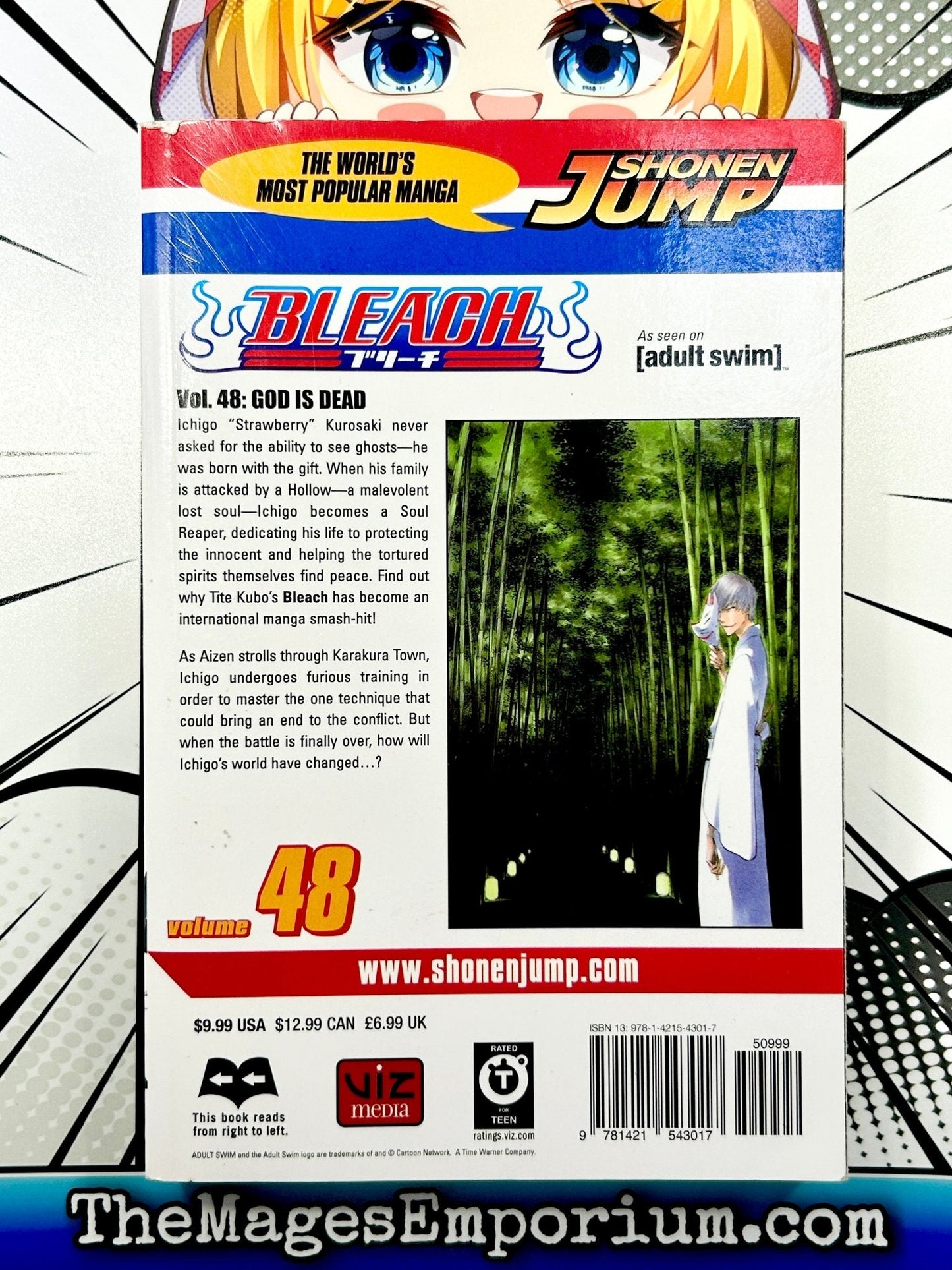Bleach Vol 48