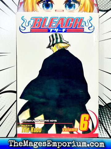 Bleach Vol 6