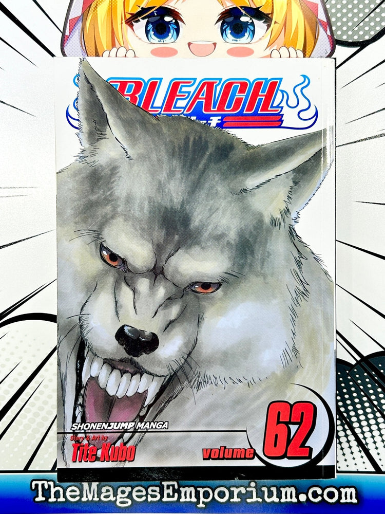 Bleach Vol 62