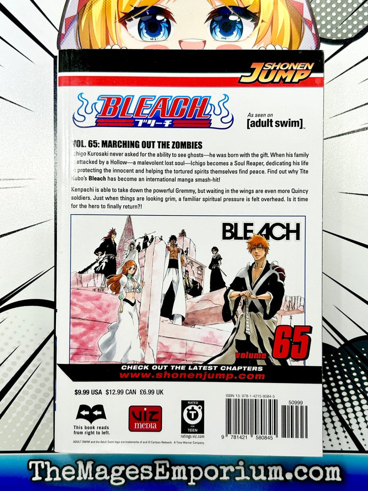 Bleach Vol 65