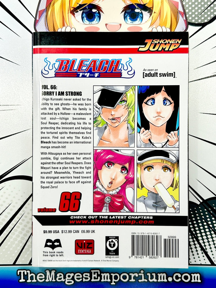 Bleach Vol 66