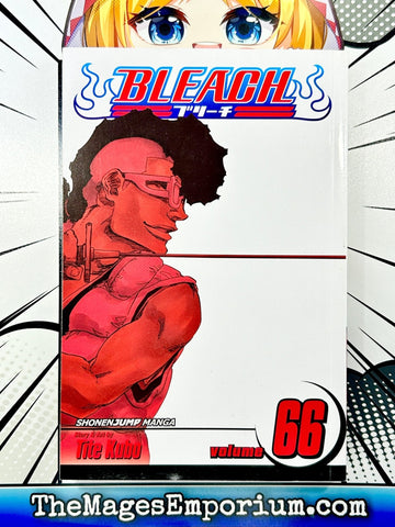 Bleach Vol 66