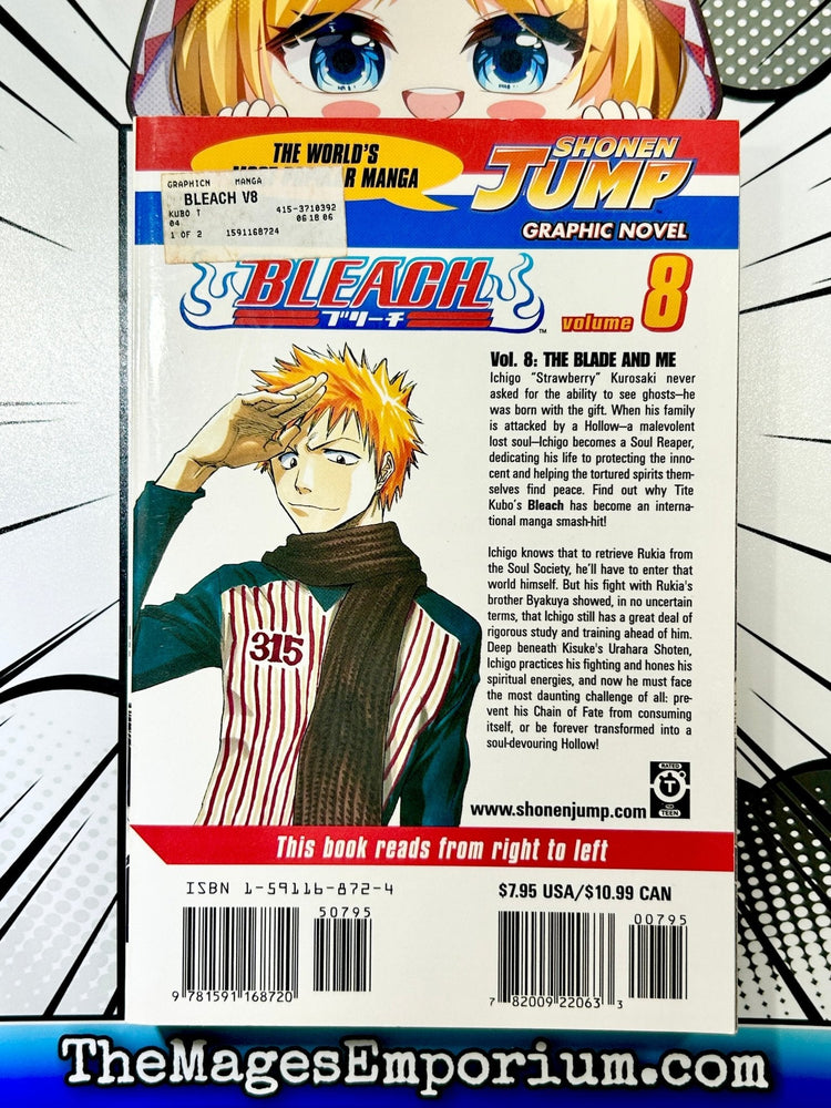 Bleach Vol 8