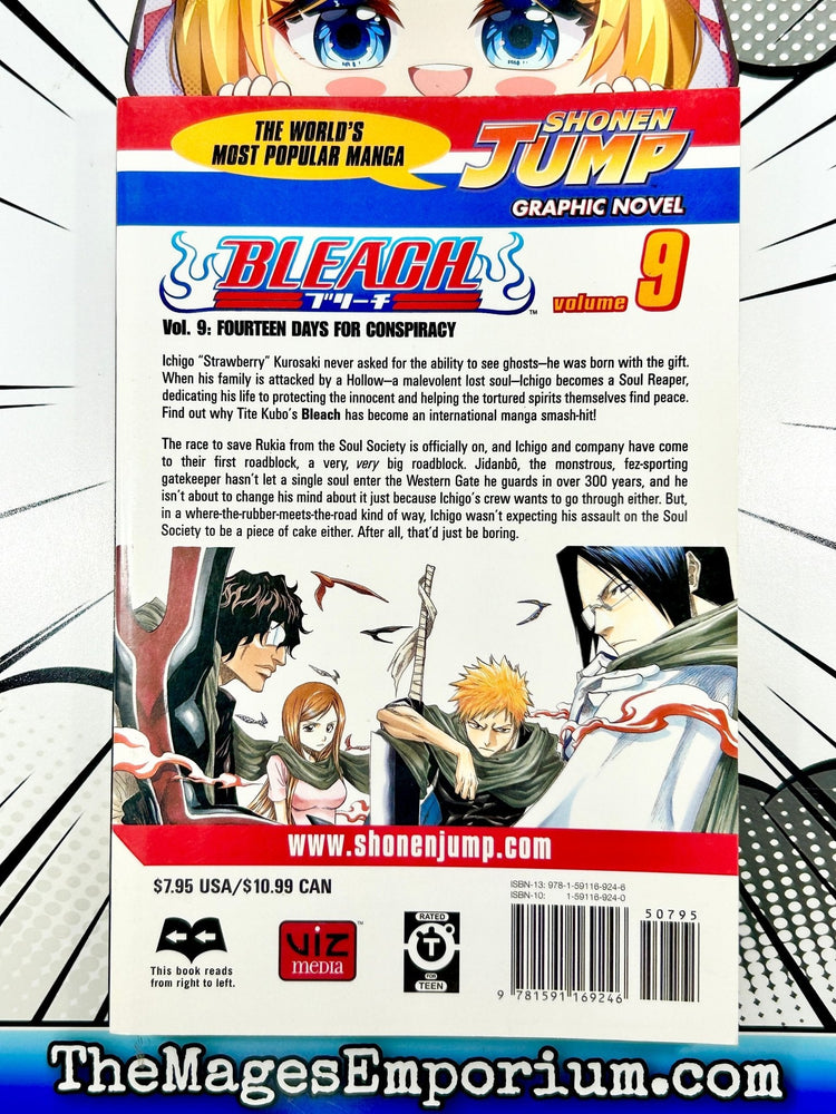 Bleach Vol 9