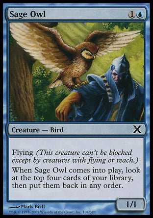 Sage Owl (10th Edition) Light Play - Nick Nack's Full Frontal Attack