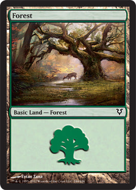 Forest (244) (Avacyn Restored) Light Play