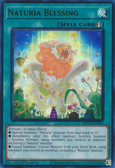 Naturia Blessing (25th Anniversary Tin: Dueling Heroes Mega Pack) Light Play 1st Edition