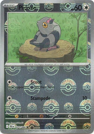 Pidove (Poke Ball Pattern) (SV: Black Bolt) Near Mint Holofoil - Nick Nack's Full Frontal Attack