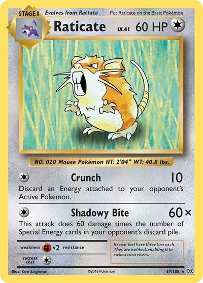 Raticate (XY - Evolutions) Near Mint