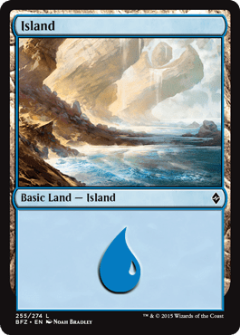 Island (255) (Battle for Zendikar) Near Mint - Nick Nack's Full Frontal Attack