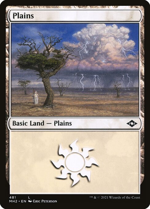 Plains (481) (Foil Etched) (Modern Horizons 2) Near Mint Foil - Nick Nack's Full Frontal Attack