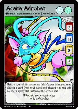 Acara Acrobat  [First Edition]