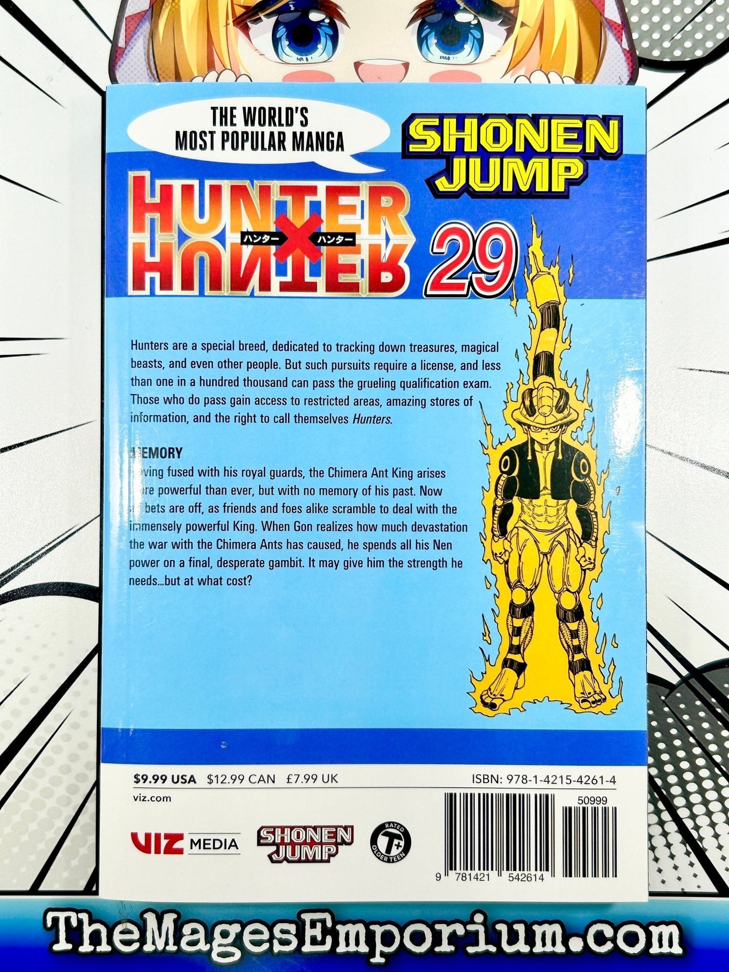 Hunter x Hunter Vol 29