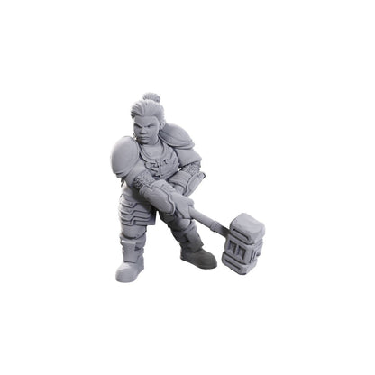 D&D Nolzur's Marvelous Miniatures: Dwarves - Limited Edition 50th Anniversary