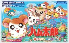 Tottoko Hamtaro 4: Nijiiro Daikoushin Dechu - JP GameBoy Advance