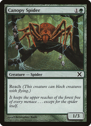 Canopy Spider [Dixième édition] 