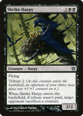 Shrike Harpy [Nacida de los dioses] 