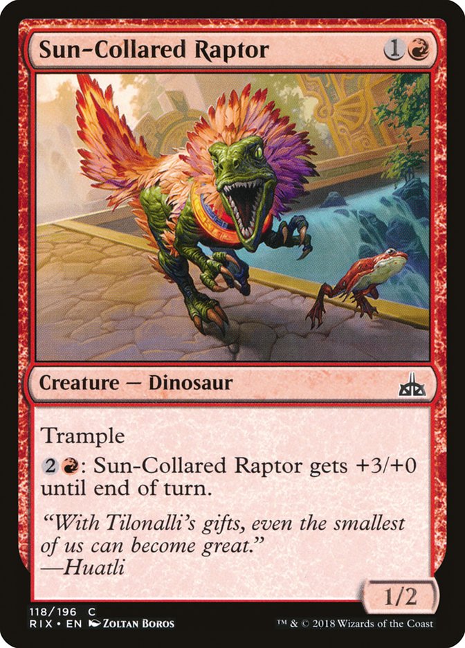 Raptor à collier solaire [Rivals of Ixalan] 