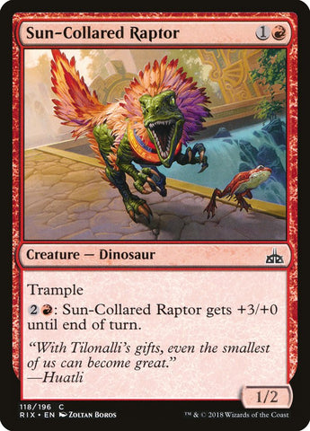 Raptor de collar de sol [Rivales de Ixalan] 