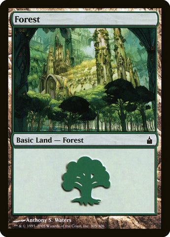 Forest (#305) [Ravnica: City of Guilds]