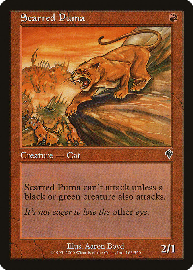 Puma cicatrisé [Invasion] 