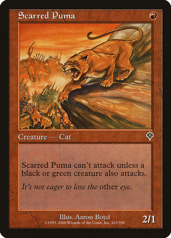 Puma con cicatrices [Invasión] 