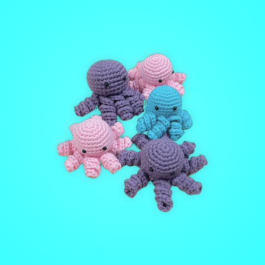 Octopi