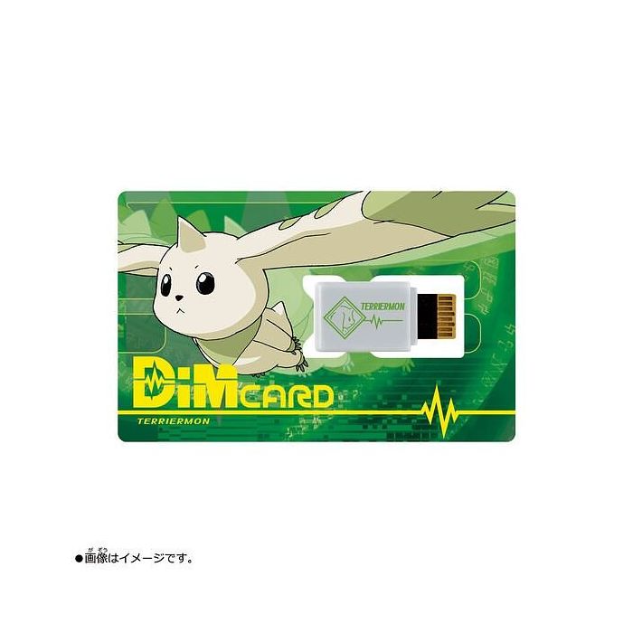 Vital Bracelet DiM Cards