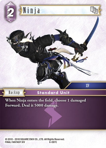 Ninja [Opus VI]