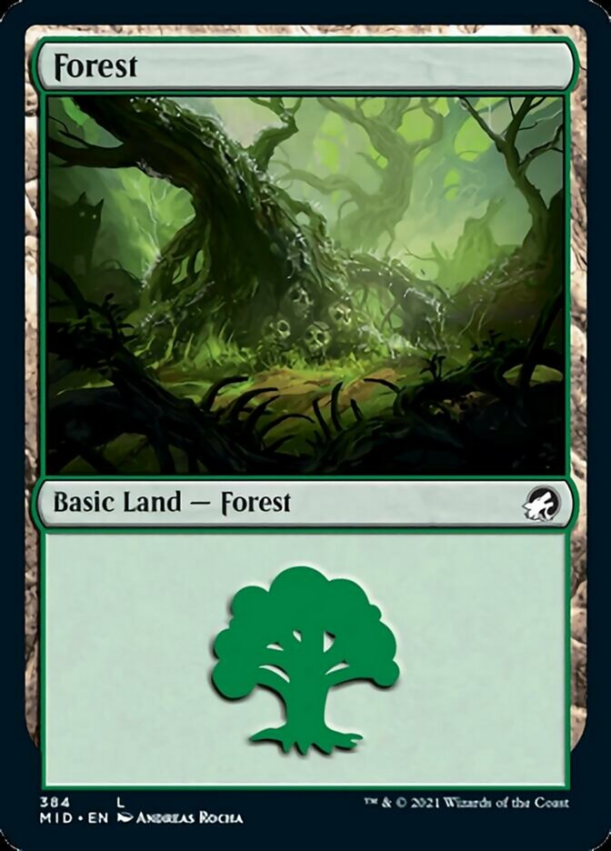 Bosque (384) [Innistrad: Caza de medianoche] 