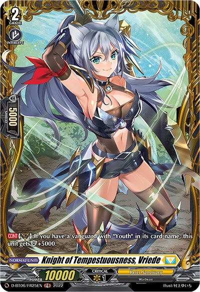 Knight of Tempestuousness, Vriede (D-BT06/FR25EN) [Blazing Dragon Reborn]