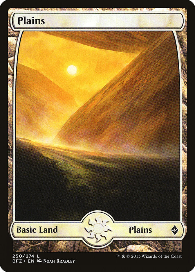 Plains (#250) [Battle for Zendikar]