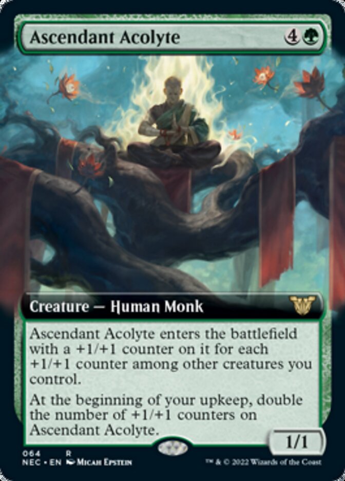 Ascendant Acolyte (étendu) [Kamigawa: Neon Dynasty Commander] 