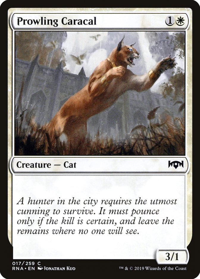 Caracal rôdant [Allégeance de Ravnica] 